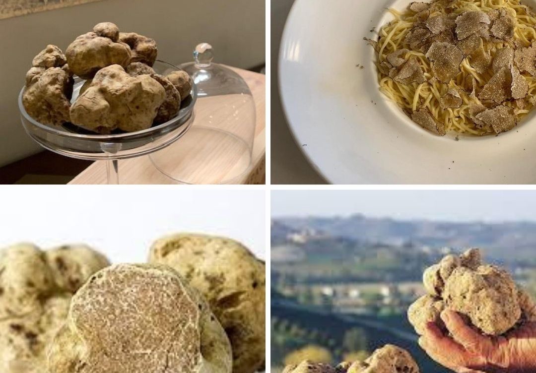 Soggiorno con caccia al tartufo